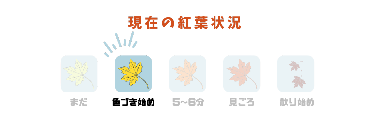 新・紅葉メーター02