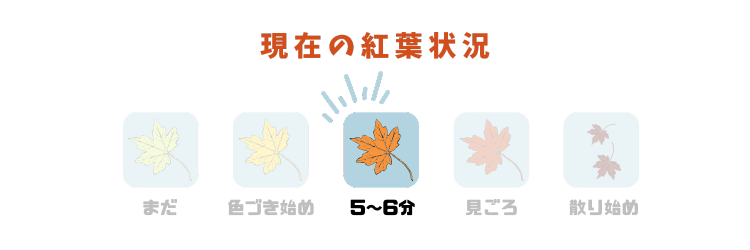 新・紅葉メーター03