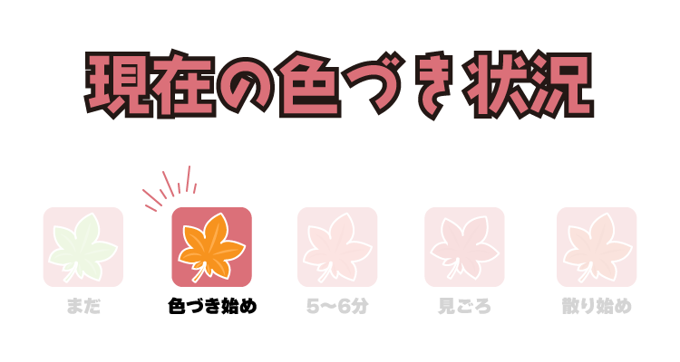 花だより（モミジ）