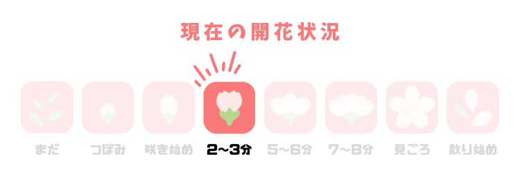 新・開花メーター4