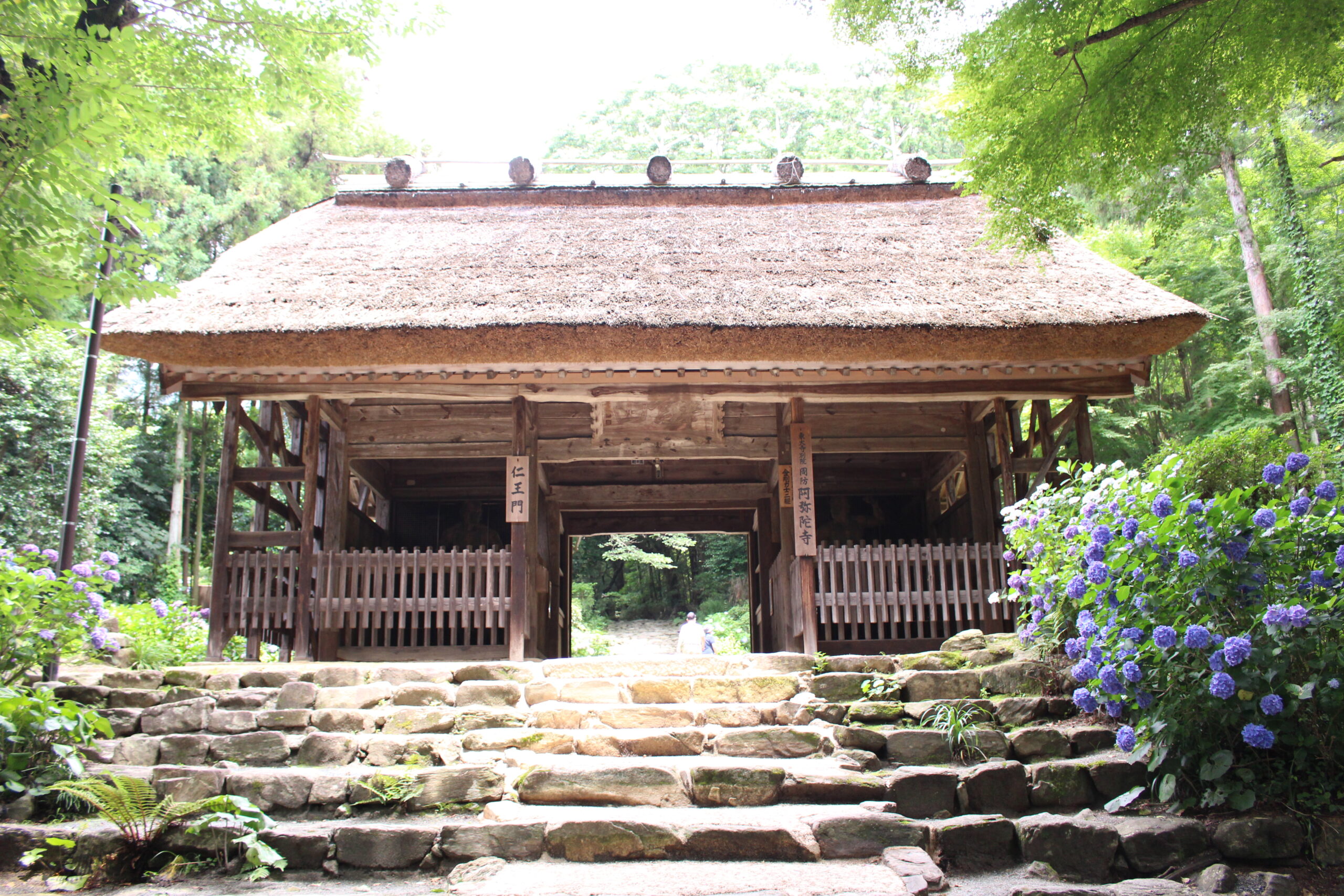 120022_東大寺別院阿弥陀寺